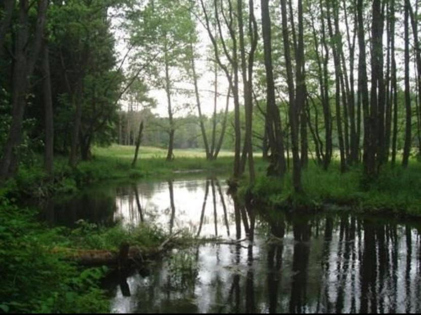 Domek בורסק מראה חיצוני תמונה